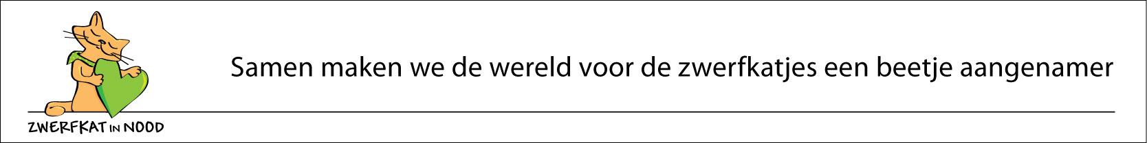 Zwerfkat in Nood
